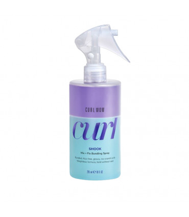 Shook Epic Curl Perfector 295ml