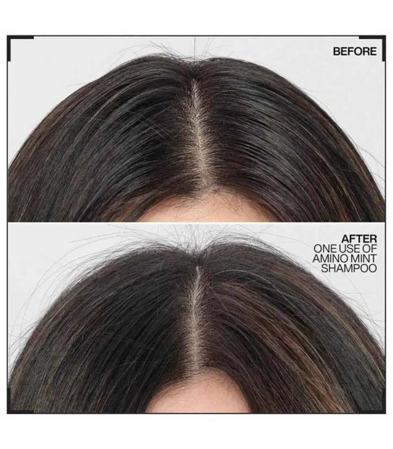 Redken Amino Mint Shampooing 300ml  | Celini.fr