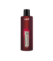 Subtil Retouch'Lab Shampooing Repigmentant Rouge 250ml  | Celini.be
