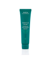 Botanical Repair Strengthening Leave-In Treatment 100ml
