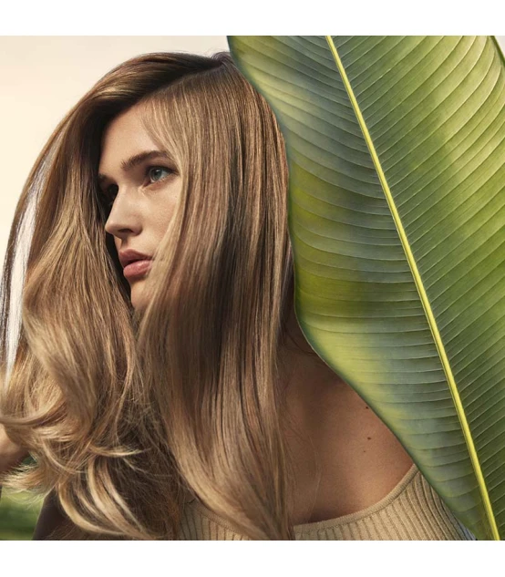 Aveda Nutriplenish Conditioner Deep Moisture 250ml  | Celini.fr