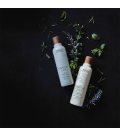 Aveda Rosemary Mint Purifying Shampoo 250ml  | Celini.fr
