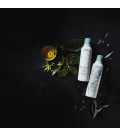 Aveda Shampure Nurturing Shampoo 250ml  | Celini.fr