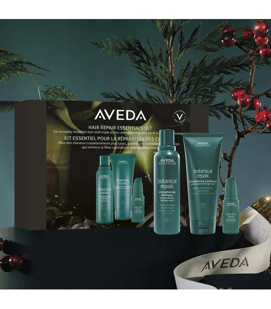 Aveda Kit Essentiel Botanical Repair  | Celini.fr