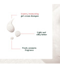 René Furterer Neopur Shampooing Antipelliculaire Équilibrant Pellic...