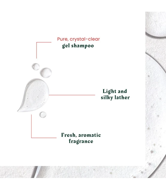 René Furterer Neopur Shampooing Antipelliculaire Équilibrant Pellic...