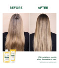 Klorane Shampooing à la Camomille 400ml  | Celini.fr