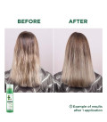 Klorane Shampooing Sec Séboréducteur à l'Ortie 150ml  | Celini.fr