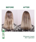 Klorane Shampooing Sec Séboréducteur à l'Ortie teinté 150ml  | Celi...