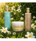 Sun in The City 100ml
