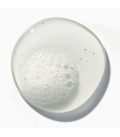 Authentic Beauty Concept Hydrate Cleanser 300ml  | Celini.fr